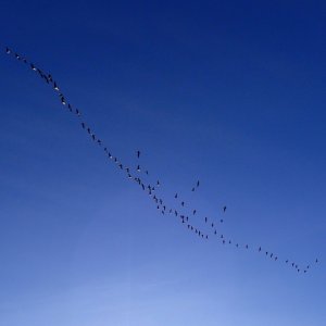 IMG_1830.jpeg