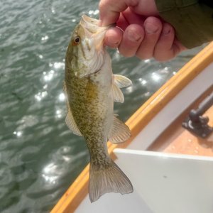 IMG_0609.jpeg