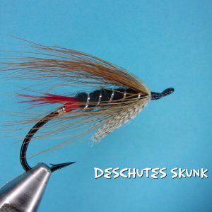 Deschutes Skunk.jpg