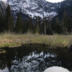 IMG_8917.jpeg
