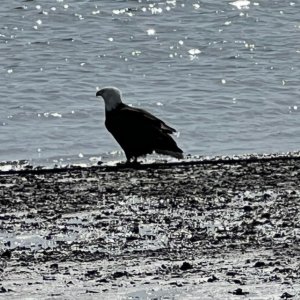 IMG_2020.jpeg