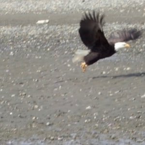 IMG_2022.jpeg