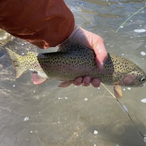IMG_5089.jpeg