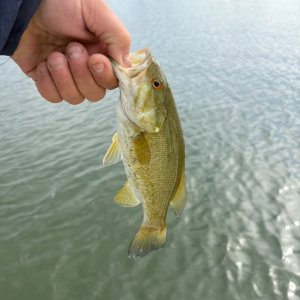 IMG_0762.jpeg