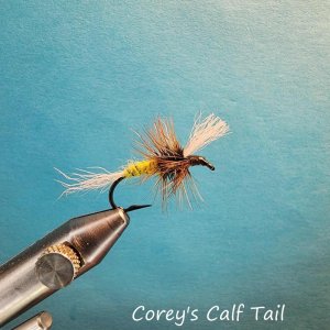 coreys calf tail.jpg