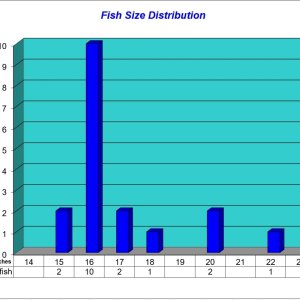 Fish Size Distribution Chart 2025-05-15.jpg