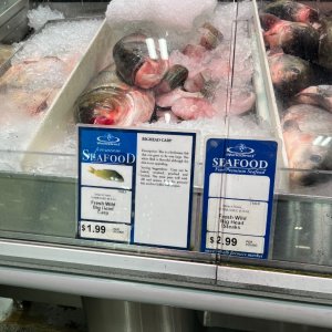 IMG_3977.jpeg