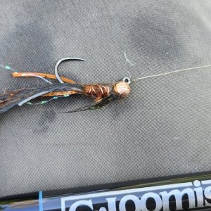 20250601_jiggycraw.jpg