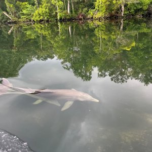 IMG_4051.jpeg