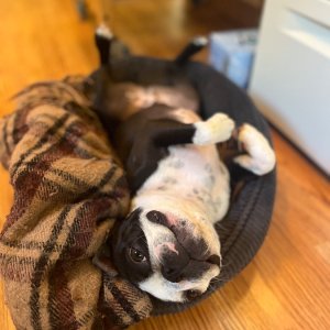 IMG_4116.jpeg