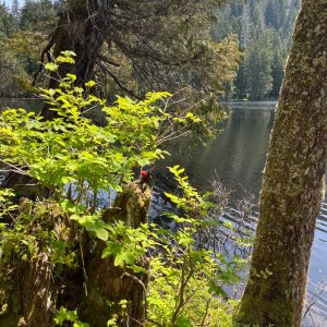 IMG_4171.jpeg