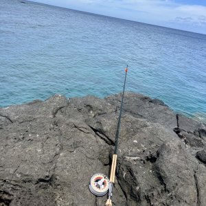 IMG_6478.jpeg