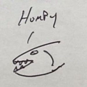 Humpy0.jpeg