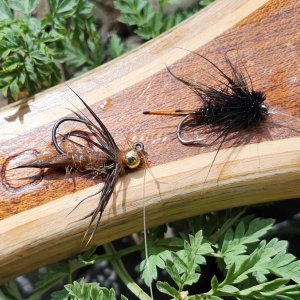 20250627_frstpairflies.jpg