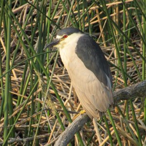 IMG_4100.JPG