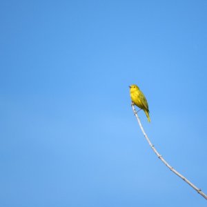 IMG_8215.JPG