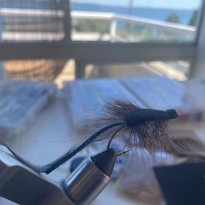 Morrish Mouse.jpg