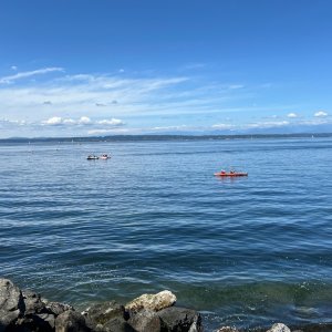 IMG_2979.jpeg
