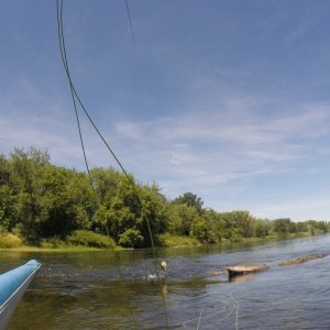 G0073961.JPG