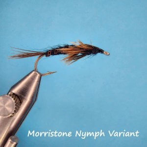 morristone nymph.jpg