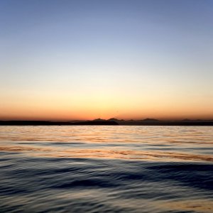 E88133CF-7C9A-48C0-A090-BD39F8BBB089.jpeg