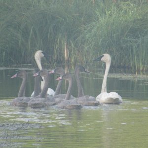 IMG_3114.JPG