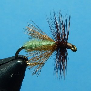 Antron Spent Caddis 1080.JPG