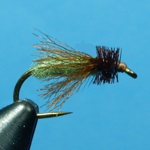 Antron Spent Caddis Trimmed 1080.JPG