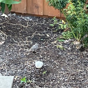 IMG_3429.jpeg
