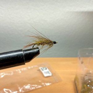 IMG_0163.jpeg