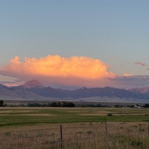 IMG_4294.jpeg