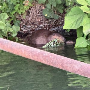 IMG_0581.jpeg