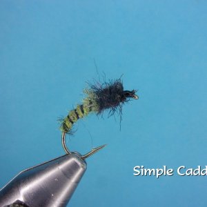 Simple Caddis3.jpg