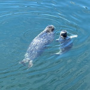 IMG_3312.jpeg
