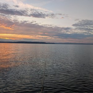 PXL_20250801_125521373.MP.jpg