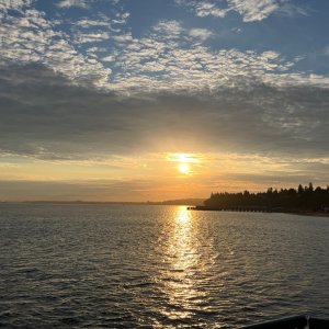 IMG_3329.jpeg