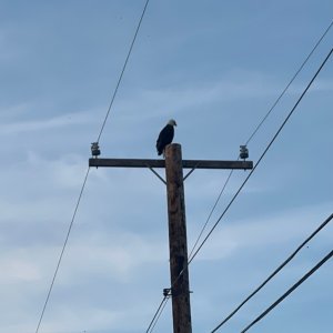 IMG_3330.jpeg