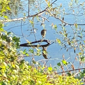 IMG_9402.jpeg