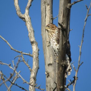 IMG_4384.JPG