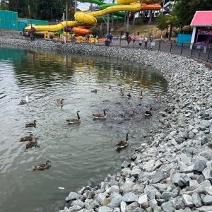IMG_4641.jpeg