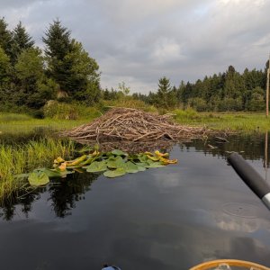 PXL_20250805_024444486.jpg