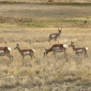IMG_4299.jpg