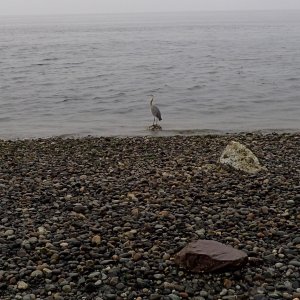 IMG_3437.jpeg