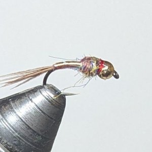 PXL_20250812_181013416.jpg