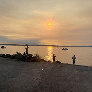 IMG_4688.jpeg