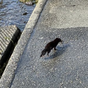 IMG_9467.jpeg