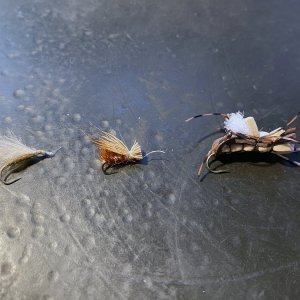 A02FliesTrim9861.jpg
