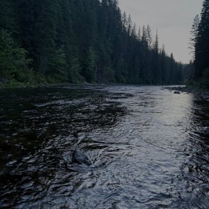 IMG_3345.jpeg