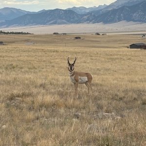 IMG_4313.jpg