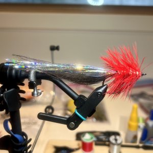 IMG_6730.jpeg